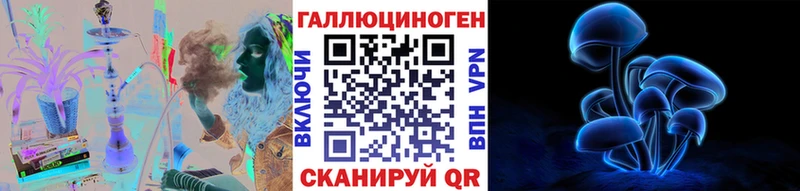 хочу наркоту  Бийск  Псилоцибиновые грибы Cubensis 